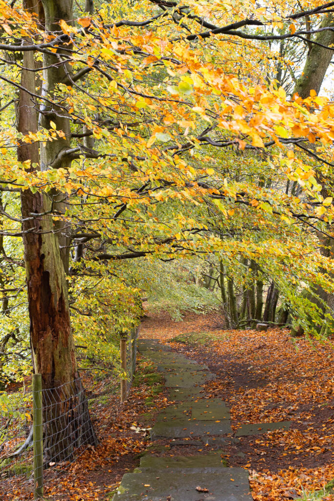 Autumn walk around Hardraw Force