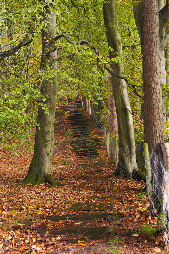 Autumn walk around Hardraw Force
