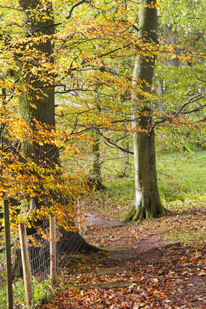 Autumn walk around Hardraw Force