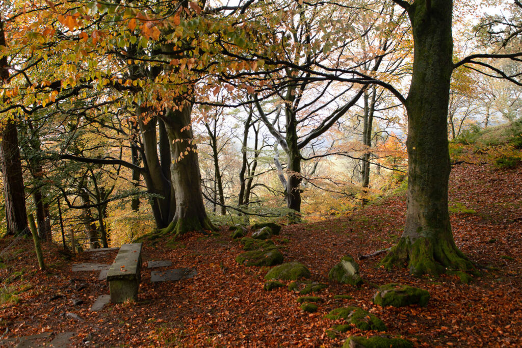 Autumn walk around Hardraw Force