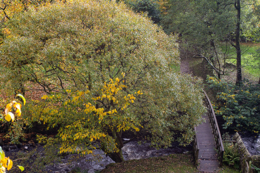 Autumn walk around Hardraw Force