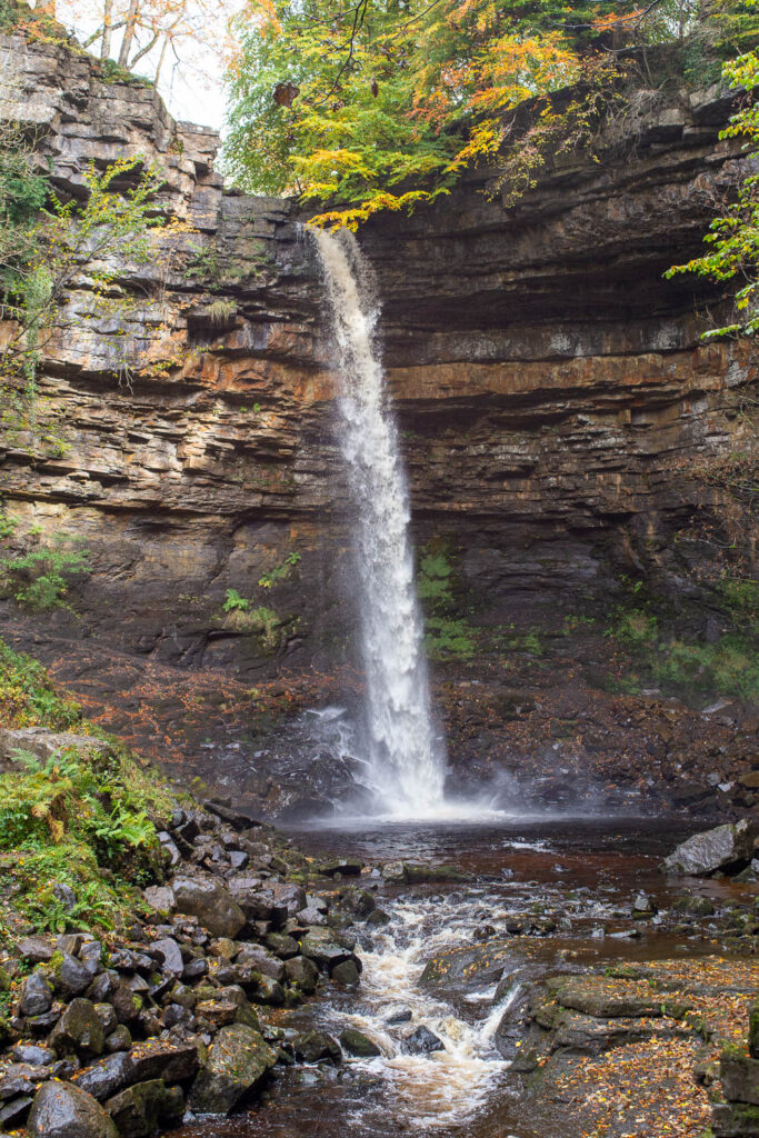 Hardraw Force