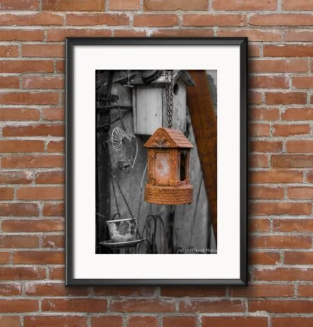 Bird Feeders in the Garden Black and White Art Print