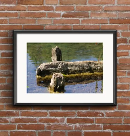 Remains of a Wooden Jetty Art Print